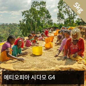 [생두] 에티오피아 시다모 G4(Natural) 5kg